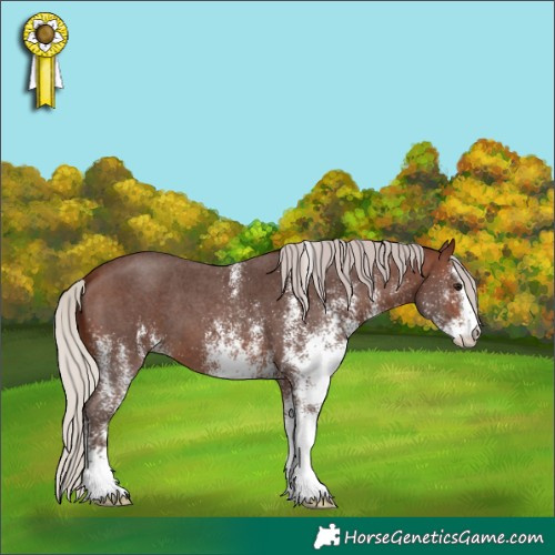 Horse Color:White Spotted Silver Brown 