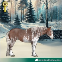 Horse Color:White Spotted Silver Brown 