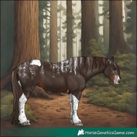 Horse Color:Powder White Liver Chestnut Tobiano