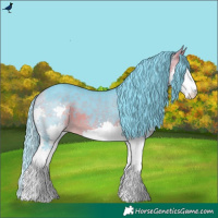 Horse Color:Watercolor Buckskin Splash