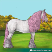 Horse Color:Watercolor Blue Ice Roan Rabicano 