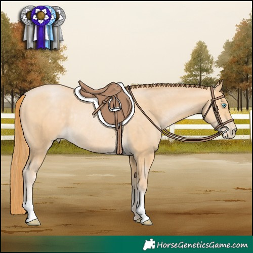 Horse Color:Buckskin Pearl Rabicano 