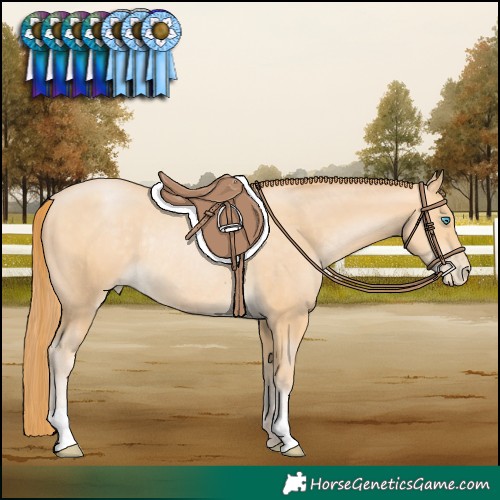 Horse Color:Buckskin Pearl Rabicano 