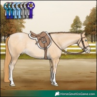 Horse Color:Buckskin Pearl Rabicano 