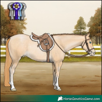 Horse Color:Buckskin Pearl Rabicano 