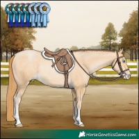 Horse Color:Buckskin Pearl Rabicano 