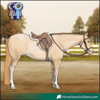 Horse Color:Buckskin Pearl Rabicano
