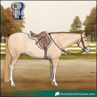 Horse Color:Buckskin Pearl Rabicano 