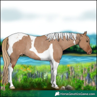 Horse Color:Red Dun Tobiano Blanket Rabicano 