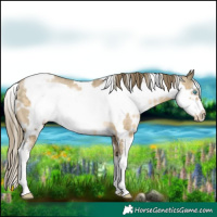 Horse Color:White Spotted Buckskin Pearl Sabino Frame Rabicano