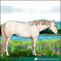 Horse Color:Buckskin Pearl Dun Tobiano Blanket Rabicano 