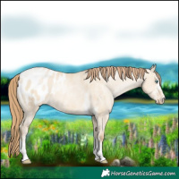 Horse Color:White Spotted Smoky Grullo Pearl Tobiano Blanket 