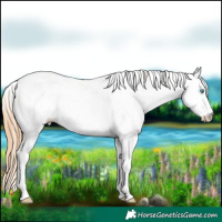 Horse Color:Buckskin Pearl Sabino Rabicano 