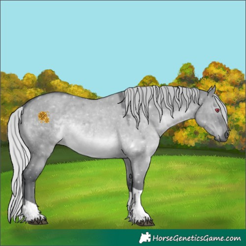 Horse Color:Silver Grullo Chinchilla Tobiano 