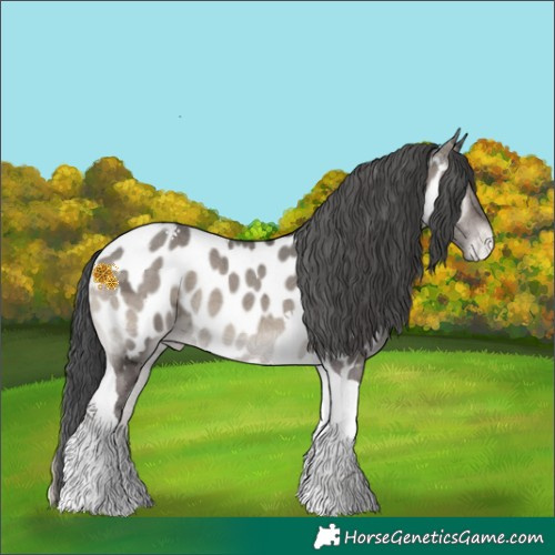 Horse Color:Grullo Ice Onyx Tobiano Near Leopard 