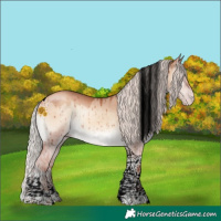 Horse Color:Void Chocolate Silver Sable Champagne Onyx Tobiano Brindle