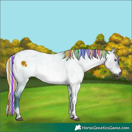 Horse Color:Gray Painted Silver Brown Chinchilla Ice Roan Dun Tobiano 