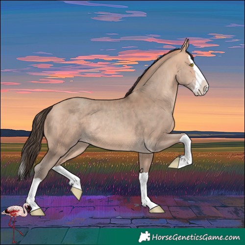 Horse Color:Amber Champagne Splash 