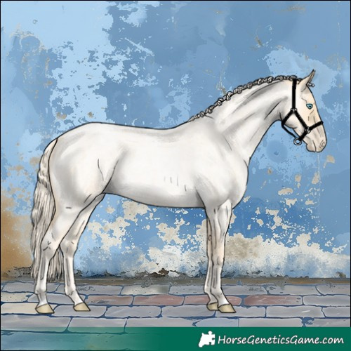 Horse Color:Palomino Roan Pearl 