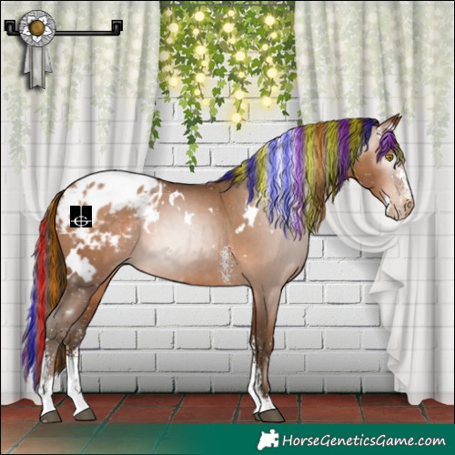 Horse Color:Gray Painted White Spotted Bay Pearl Sabino Appaloosa 