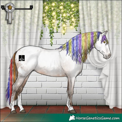 Horse Color:Gray Painted White Spotted Bay Pearl Sabino Varnish 