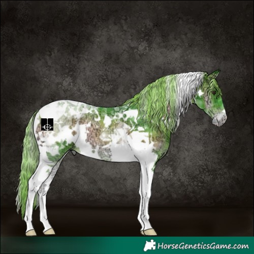 Horse Color:Watercolor White Spotted Liver Red Onyx Ice Tobiano 