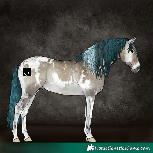 Horse Color:Gray Platinum Painted White Spotted Bay Onyx Tobiano 