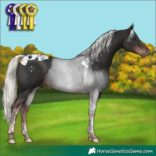 Horse Color:Liver Chestnut Mushroom Tobiano 