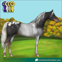 Horse Color:Liver Chestnut Mushroom Tobiano