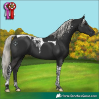 Horse Color:Liver Chestnut Mushroom Tobiano 