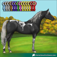 Horse Color:Liver Chestnut Mushroom Tobiano 