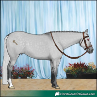 Horse Color:Silver Grullo Chinchilla 