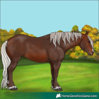 Horse Color:Silver Brown 