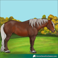 Horse Color:Silver Brown 
