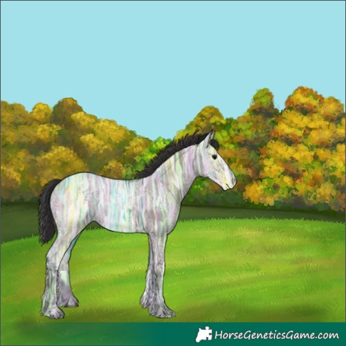 Horse Color:Smoky Grullo Ice 