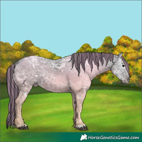 Horse Color:Painted Smoky Black Ice 