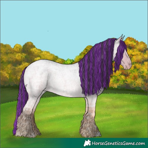 Horse Color:Painted Smoky Grullo Ice Roan 