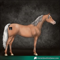 Horse Color:Silver Sable Champagne Frame 