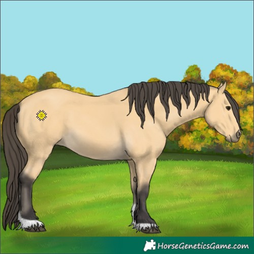 Horse Color:Buckskin Tobiano 
