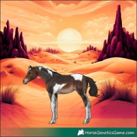 Horse Color:Brown Tobiano 
