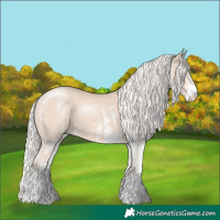 Horse Color:White Spotted Silver Smoky Creme 