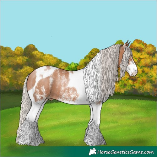 Horse Color:White Spotted Silver Black Pearl Tobiano 
