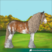 Horse Color:White Spotted Chocolate Palomino 