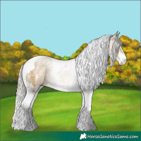 Horse Color:White Spotted Silver Buckskin Dun Tobiano 