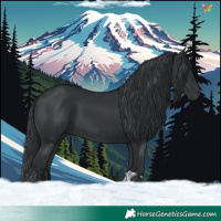 Horse Color:Black and Black