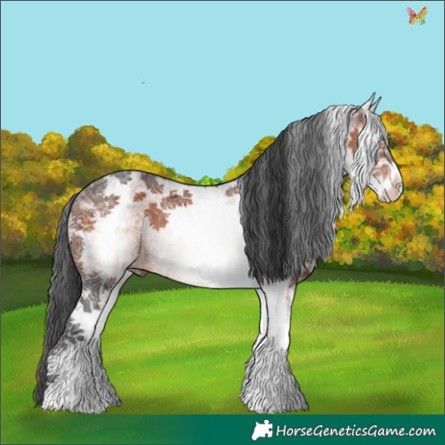 Horse Color:White Spotted Brown Ice Sabino 