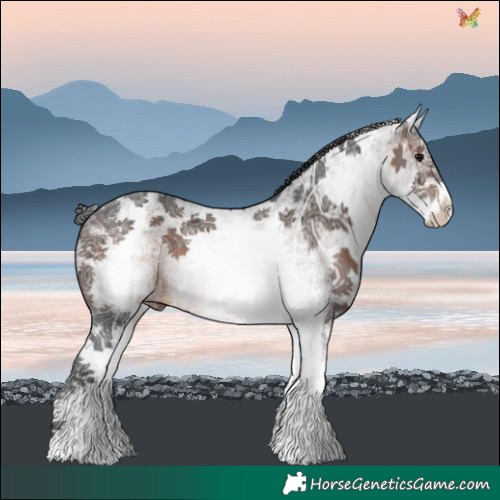 Horse Color:White Spotted Brown Ice Sabino 