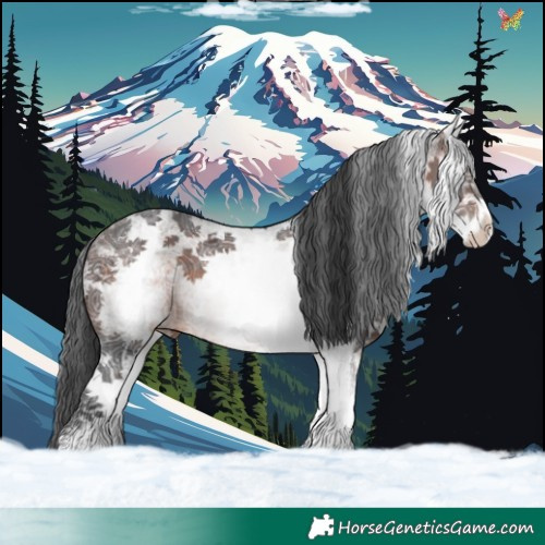 Horse Color:White Spotted Brown Ice Sabino 