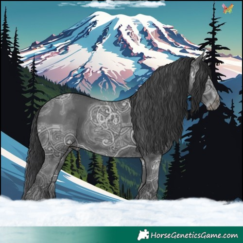 Horse Color:Black Ice 