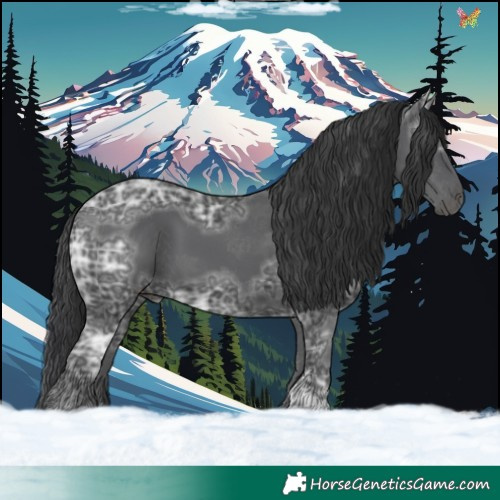 Horse Color:Black Ice Sabino 